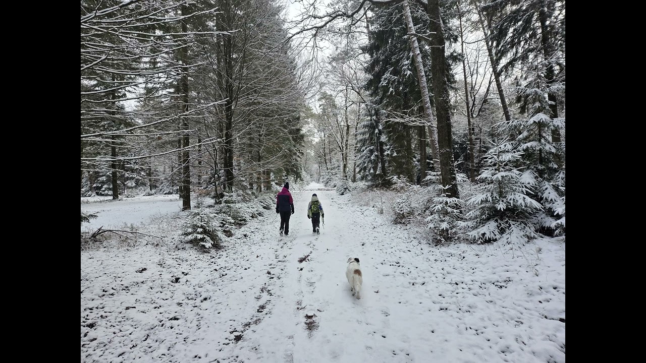 260214 Nordpfad Hinzel