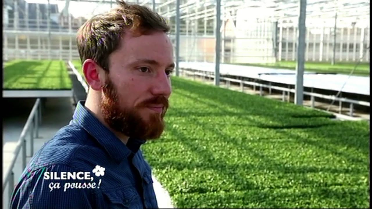 France 5 - Silence, ça Pousse! - Koppert Cress