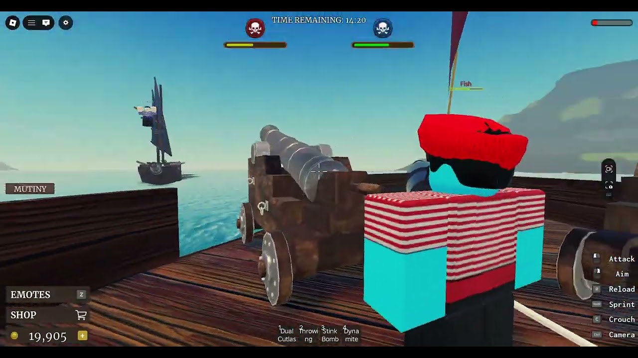 Pirate mayhem