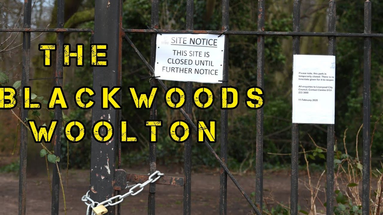Afternoon walk around blackwoods in woolton #foryou #summer #2025
