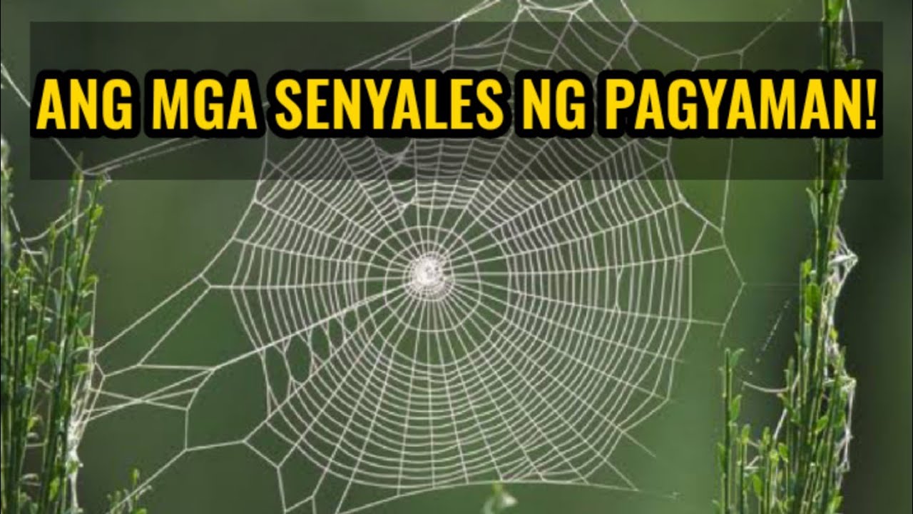 ANG MGA SENYALES NA DAPAT MONG MAKITA BAGO KA YUMAMAN!
