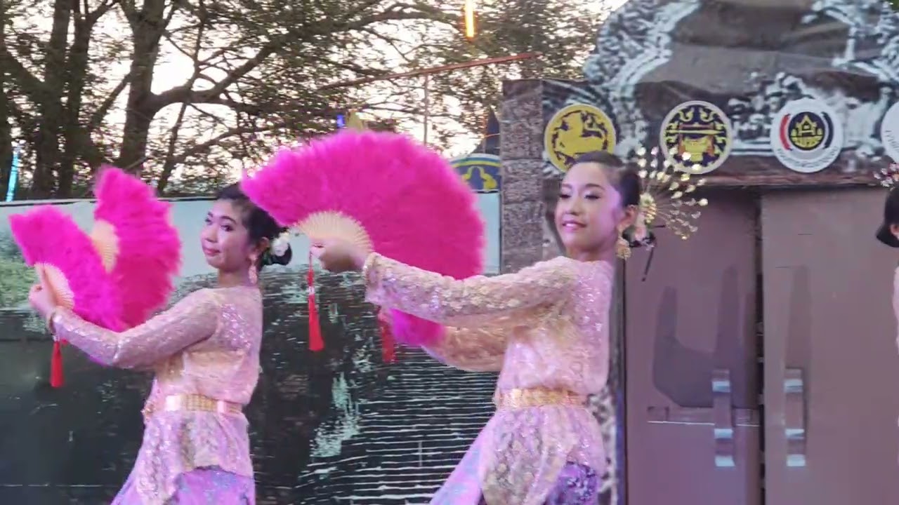 การแสดงชุด 