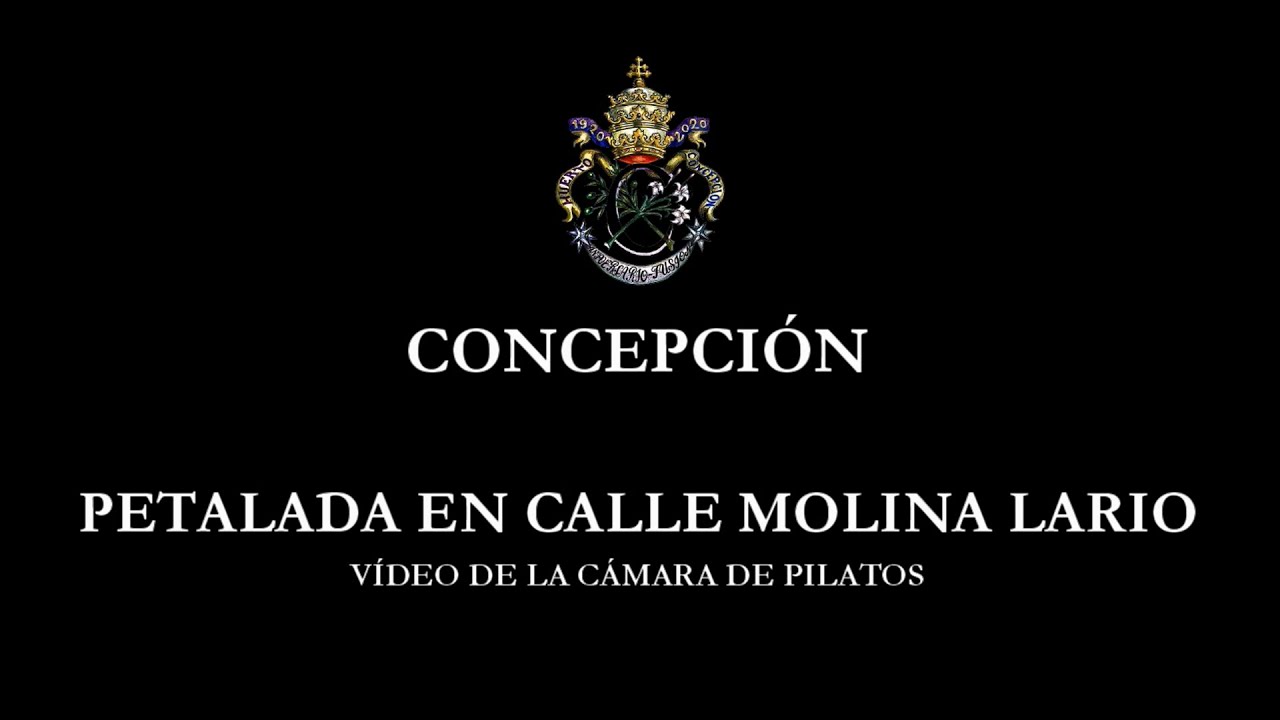 Virgen de la Concepción - Petalada en calle Molina Lario