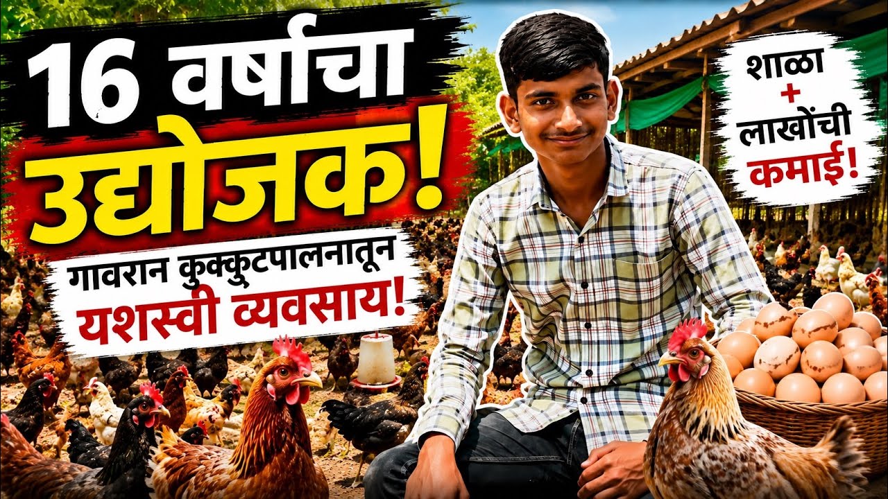 गावरान कुक्कुट पालन व्यवसाय माहिती | Gavaran Kukut Palan Business Idea
