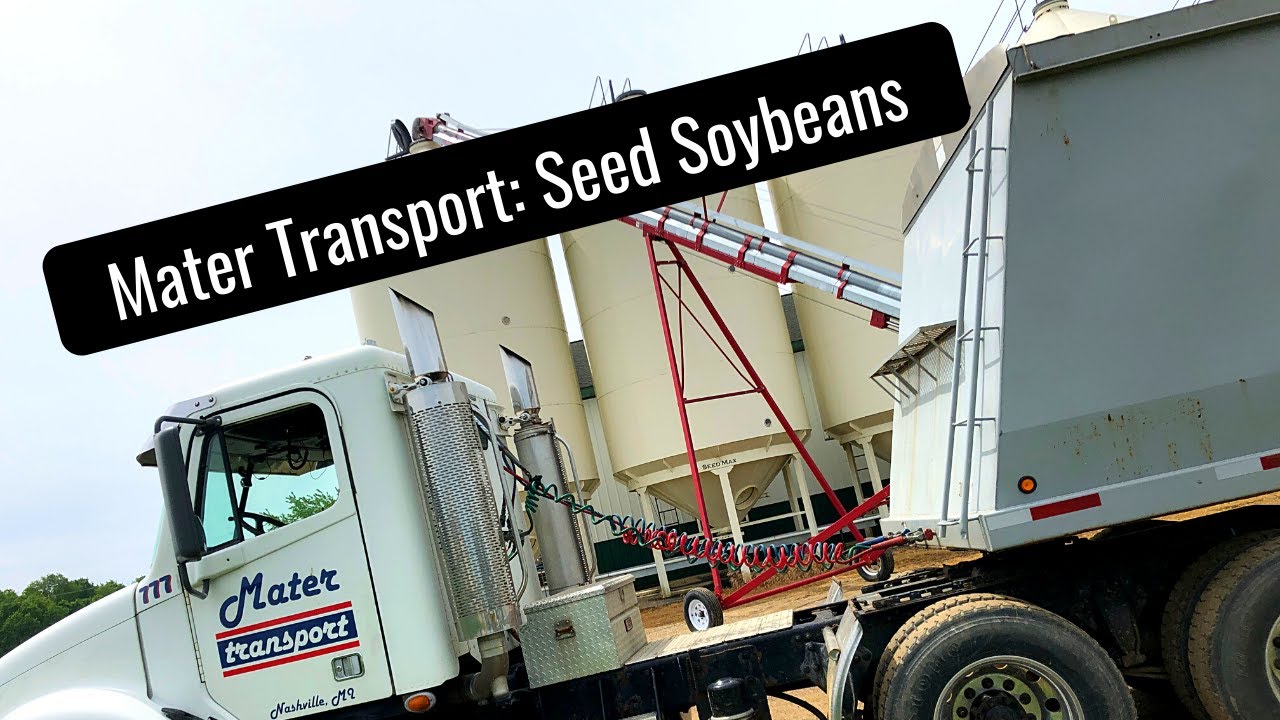 Mater Transport: Seed Soybeans