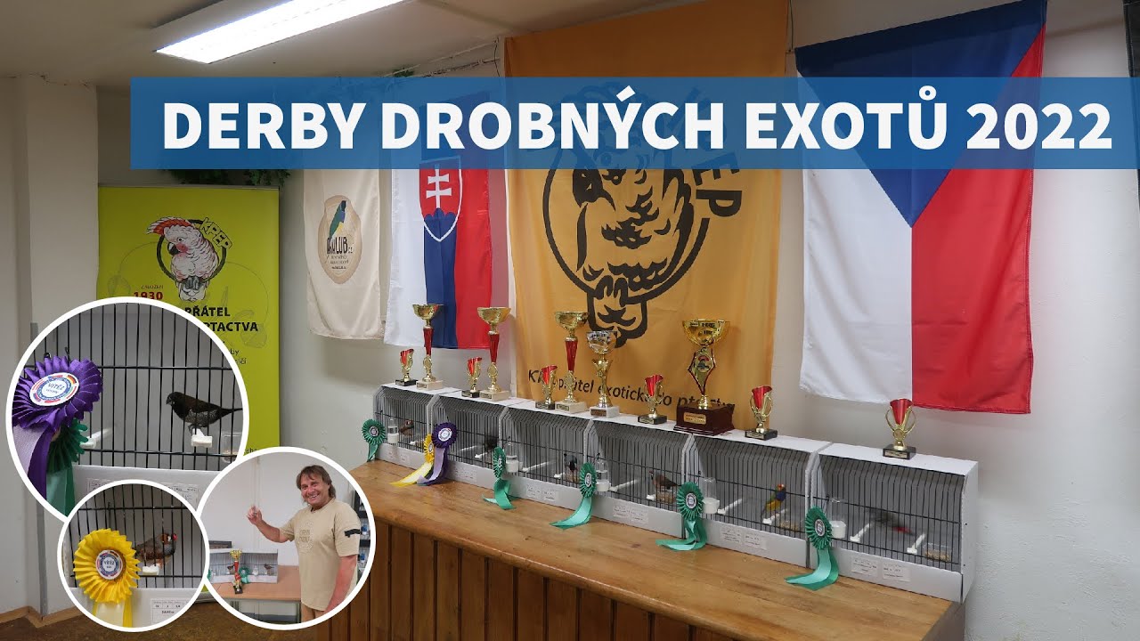 Ohlédnutí za výstavou #2 Derby drobných exotů 2022 - Nymburk
