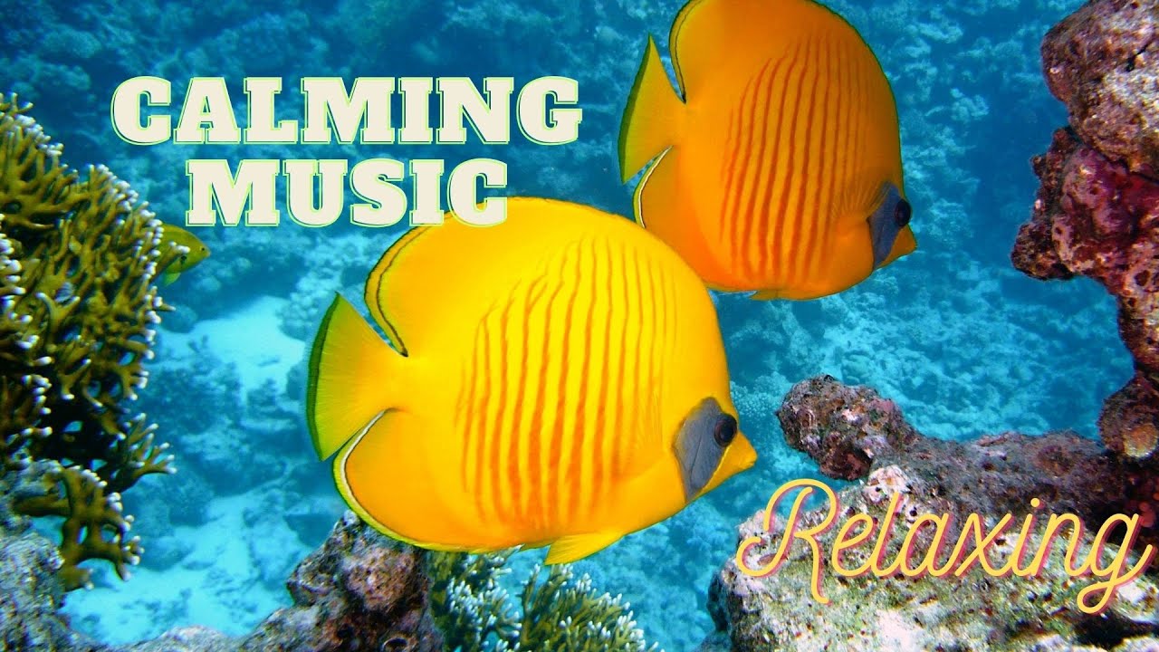 Relaxing Music for Stress Relief and Sleeping