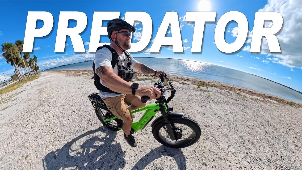 Я провел день на Wired Predator