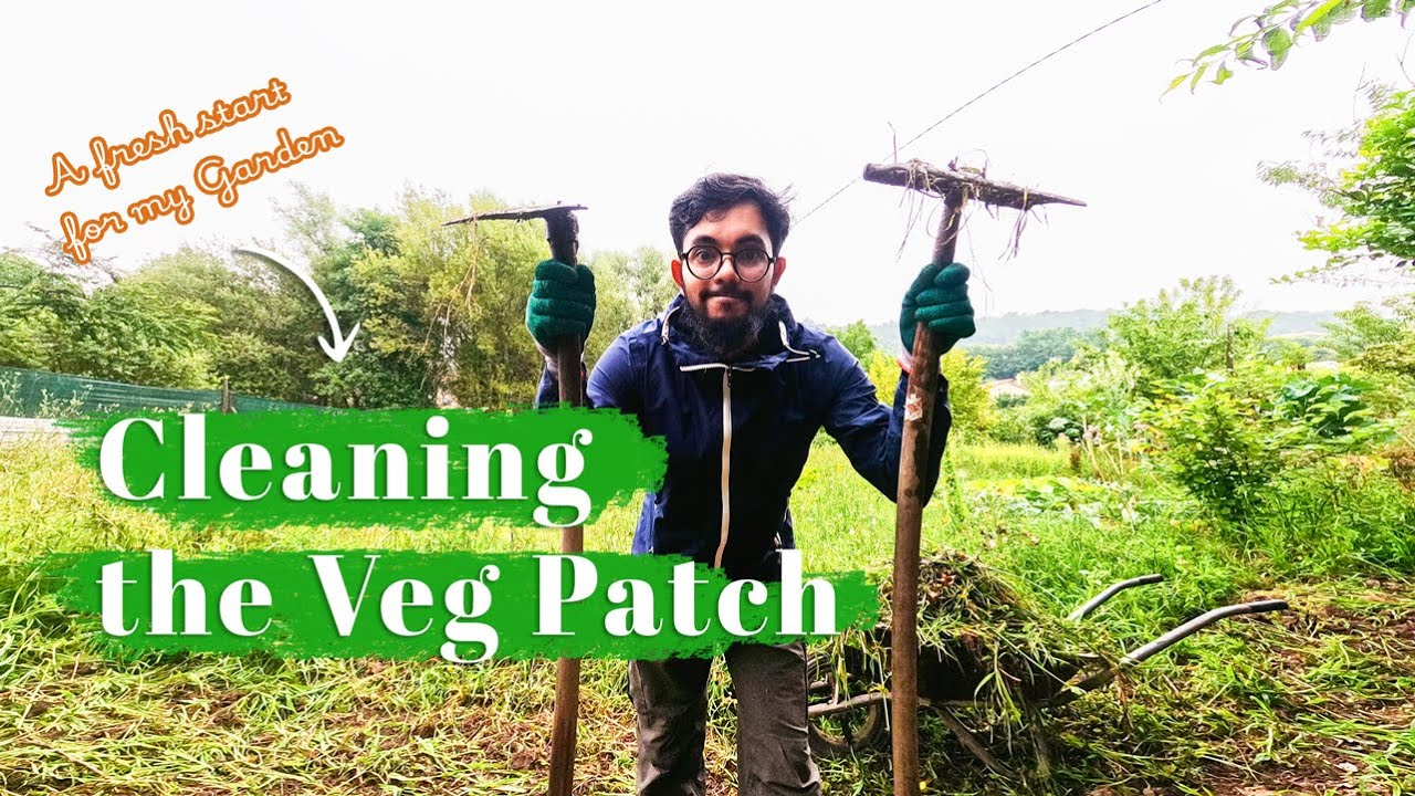 #3 Preparing the land for vegetable garden |  সবজি বাগানের জন্য জমি প্রস্তুতি