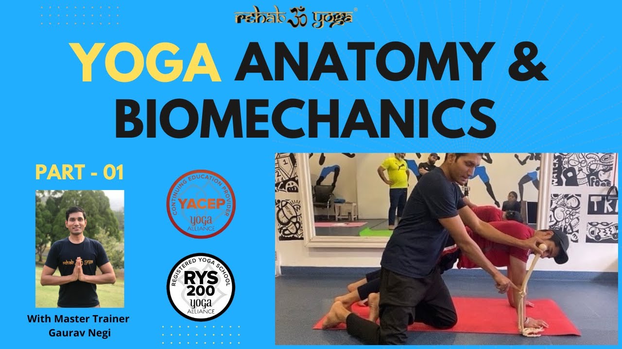 Part 1 Anatomy & Biomechanics for Yoga & Fitness Professionals (Wrist Joint)