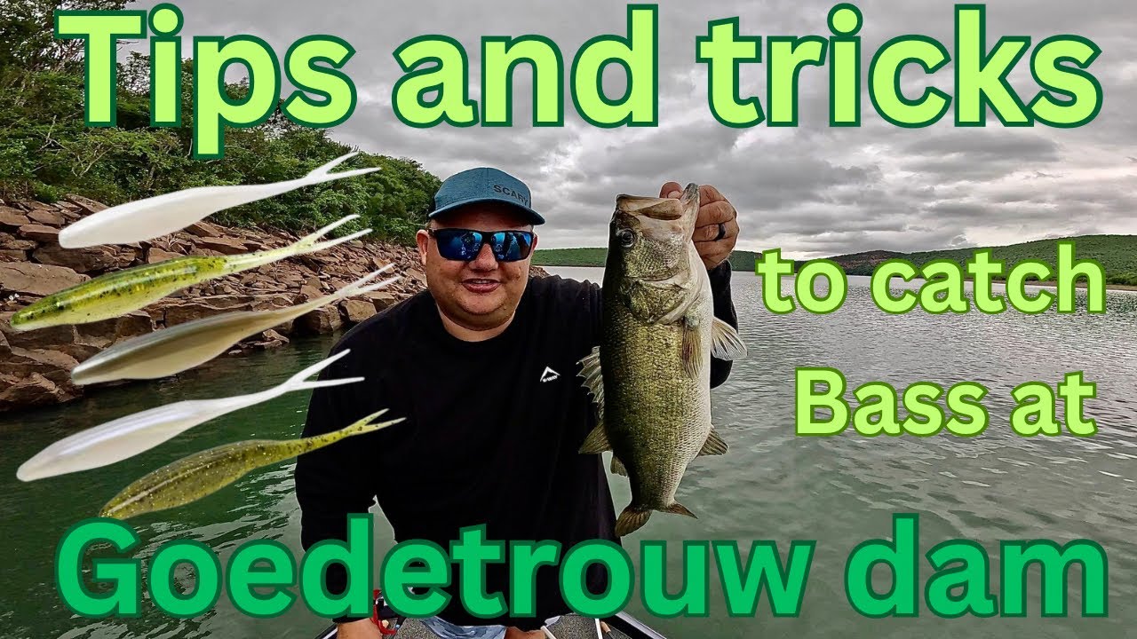 Tips and tricks to help you catch more Bass at Goedetrouw dam.