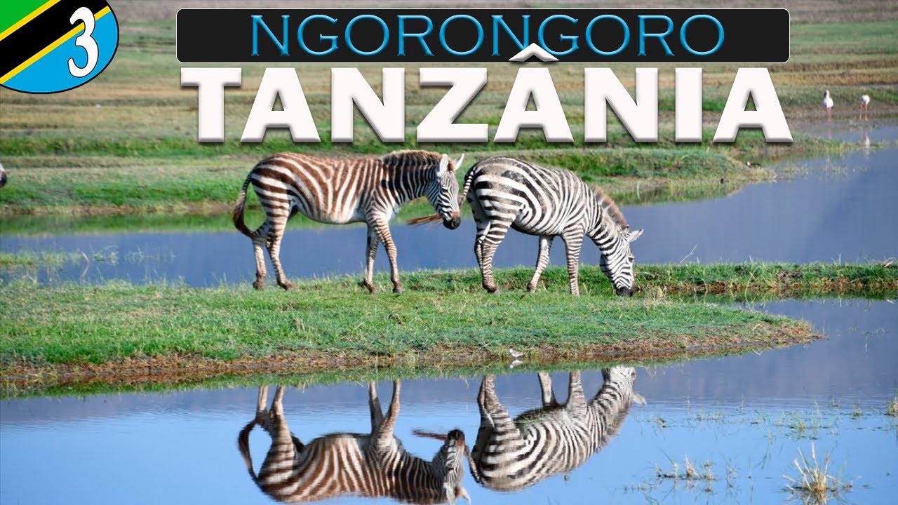 A cratera Ngorongoro, Tanz&acirc;nia
