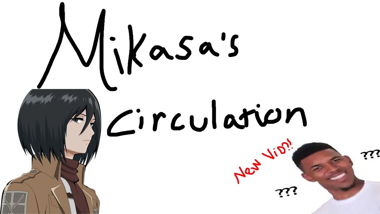 Mikasa's Circulation