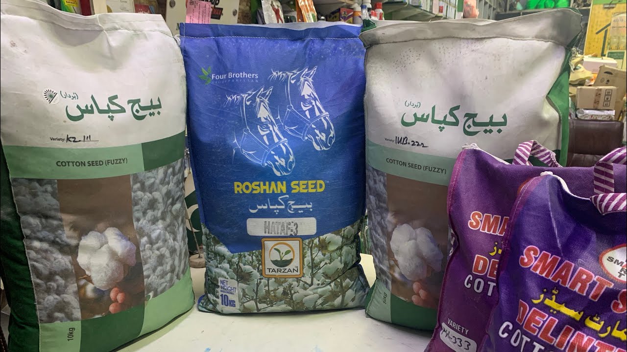 Best Cotton Seed | Cotton varieties | trippl gene transgenic | evyolgroup | tarzan | Kissan Ghar