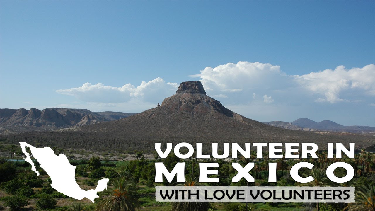 Volunteer in Mexico with Love Volunteers!