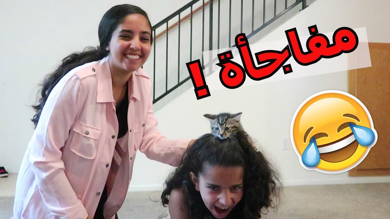 زنجبيل وفلفل اصدقائنا الجدد - مفاجأة