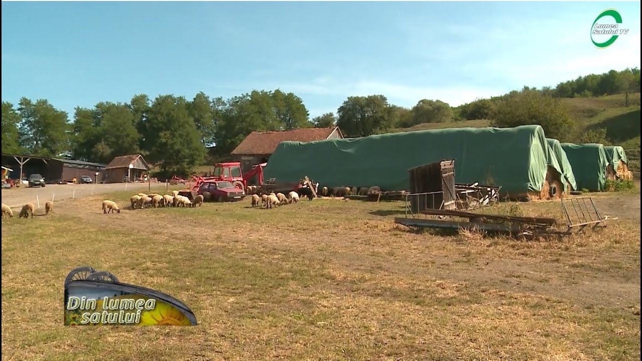 Familia Frățilă, un exemplu pentru cei care vor să activeze în zootehnie