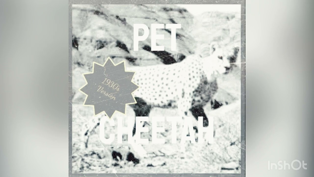 Pet Cheetah - 1930s (twenty one pilots remix)