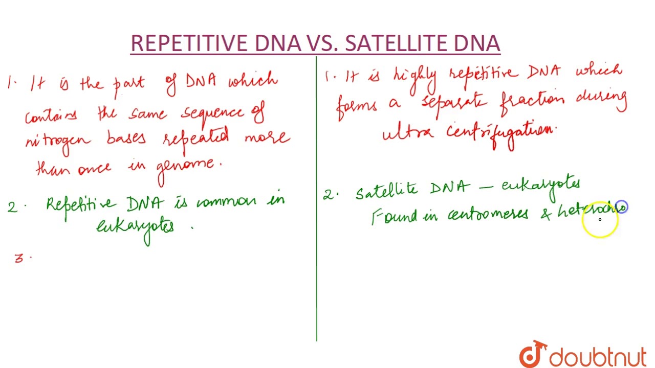 DIFFERENCE BETWEEN REPETITIVE & SATELLITE DNA