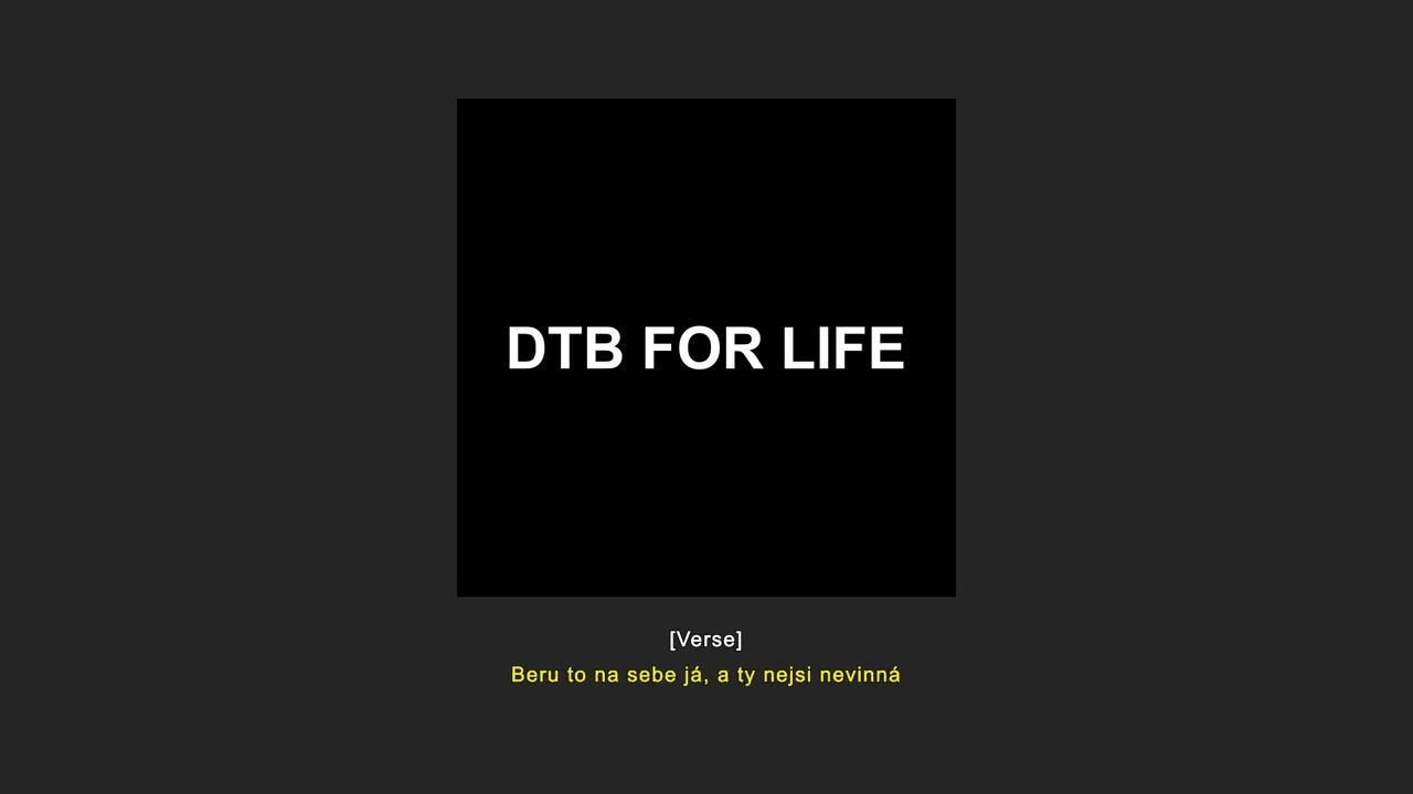 STEIN27 &ndash; DTB for Life (Text)