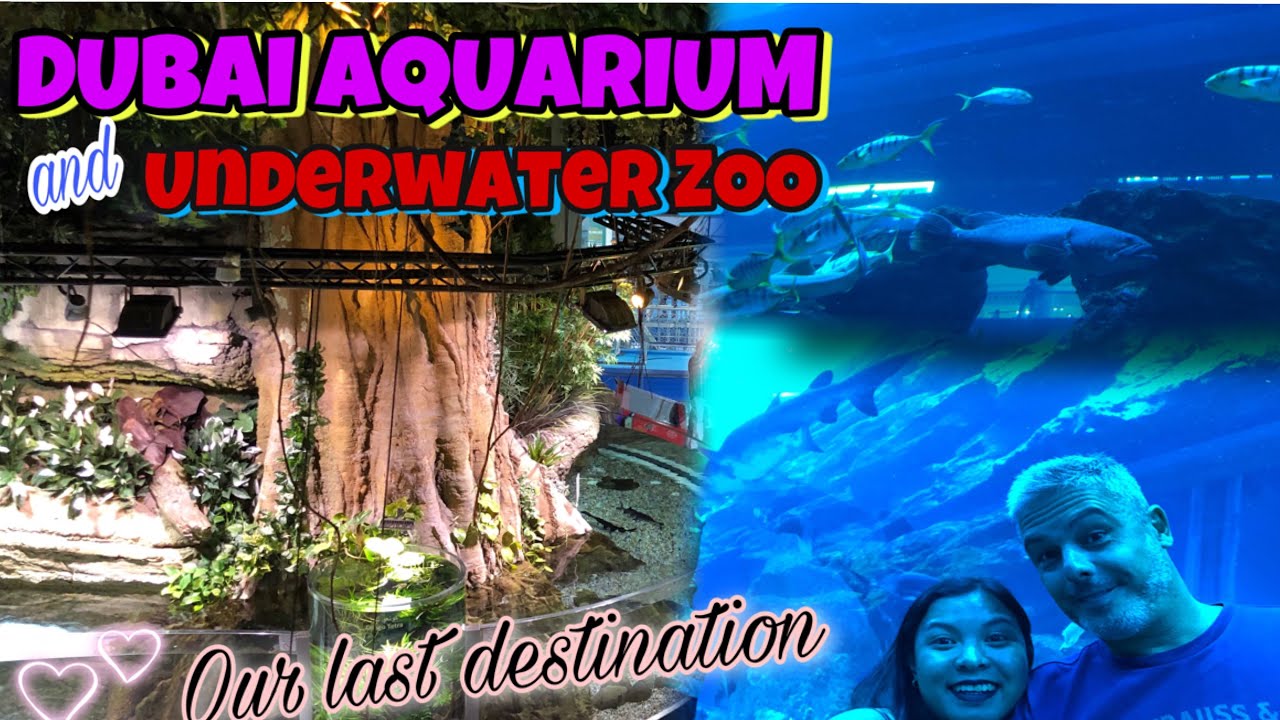 Dubai Aquarium and Underwater Zoo, Dubai Mall | Anniversary Vacation PART4 || April Joy Obod