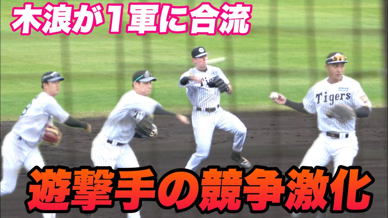 【なかなかショートが決まらない！！】今日は2軍からも木浪ら数人が合流！！土曜日超満員の中のシートノック！！