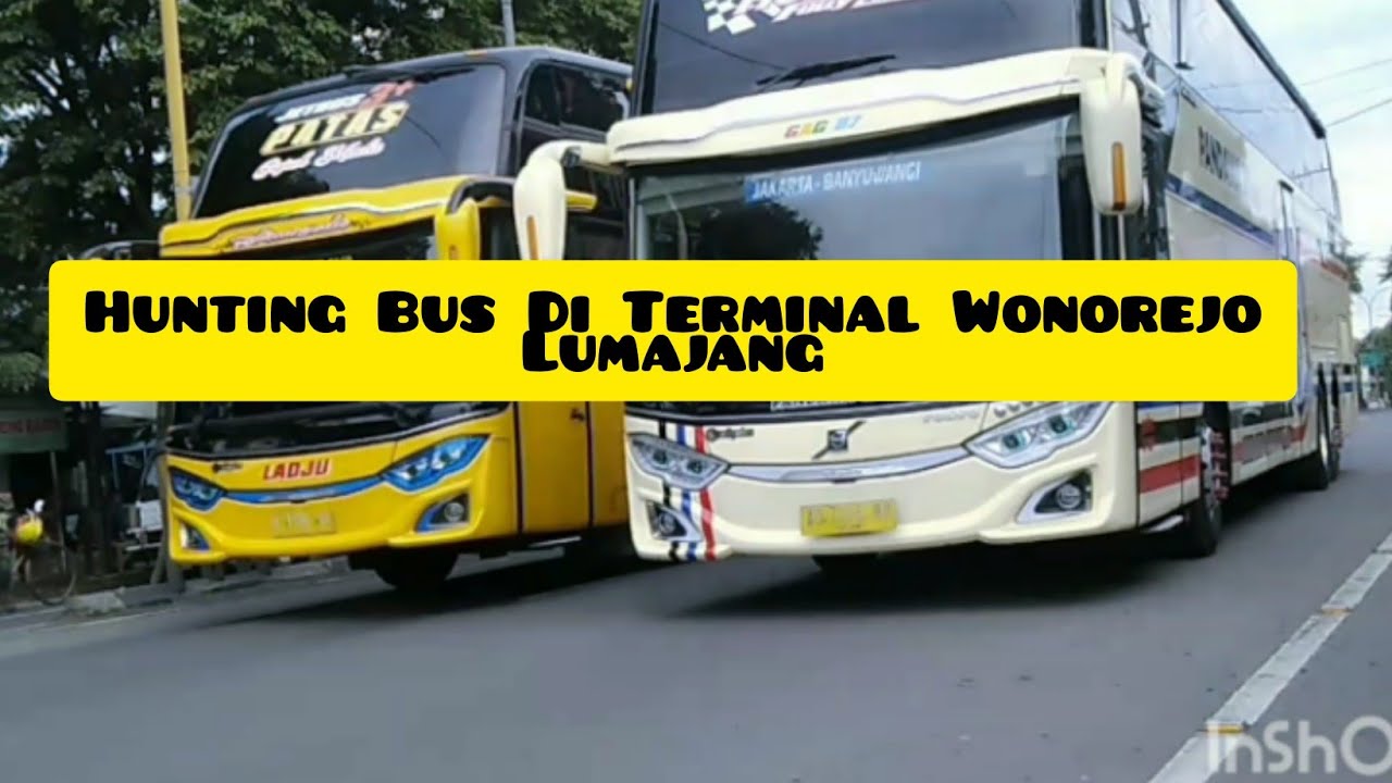 HUNTING BUS Di Terminal Wonorejo Lumajang ada Herbie Pandawa 87 full set Penumpangnya rame banget