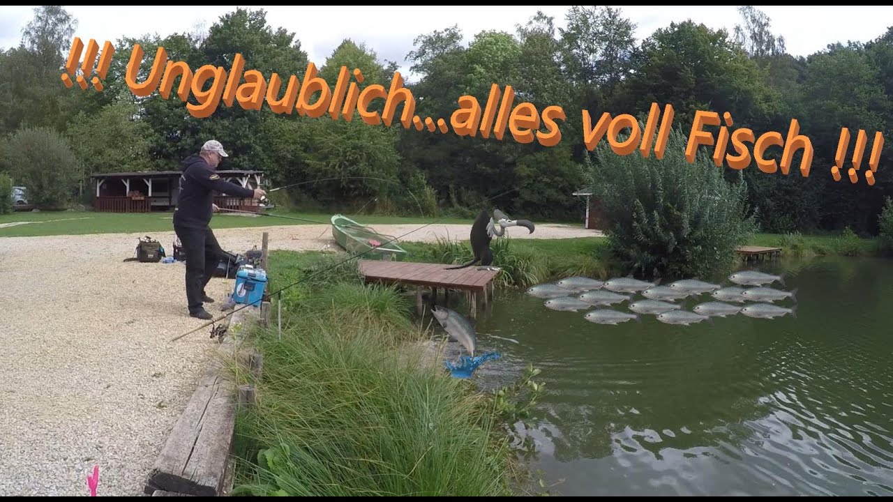 #51 Lachsforellenangeln in Oosbachtal am 23.08.2020