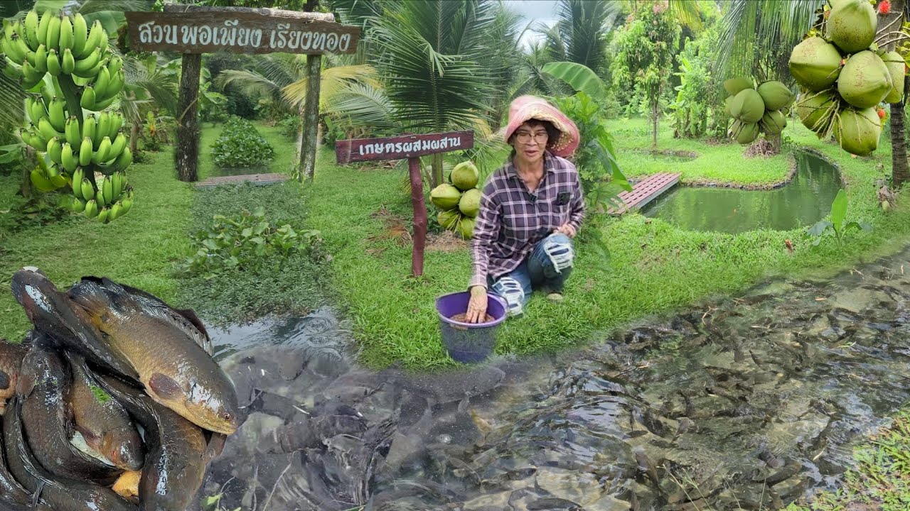 พื้นที่ 1ไร่ลงทุนหลักพัน!!ทำแบบนี้ไว้ล่วงหน้า..เกษียณมาสุขสบาย