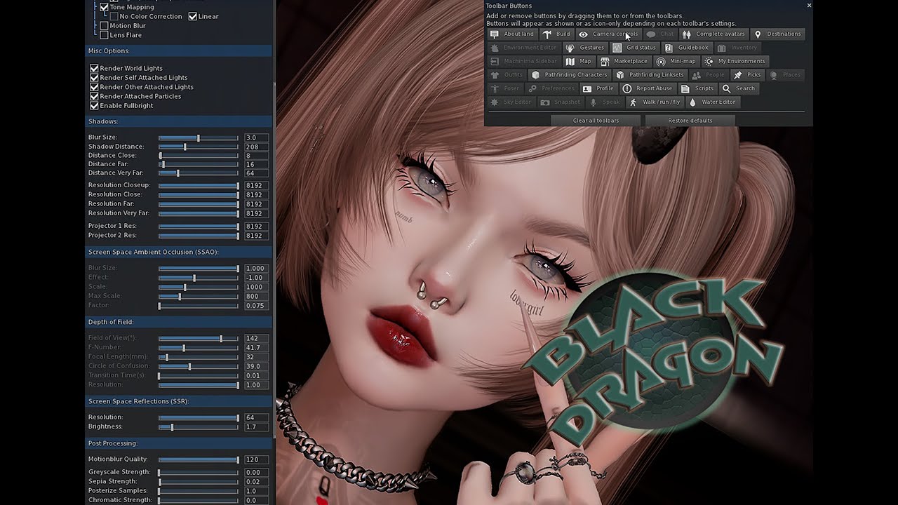 SECONDLIFE PS FOR BEGINNERS EP10 | BLACK DRAGON SETTINGS