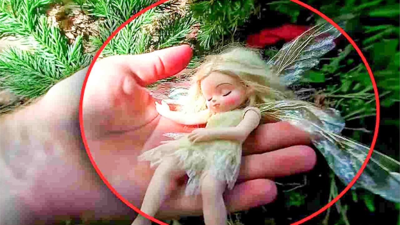 15 Real Fairies Caught On Camera And Seen In Real Life