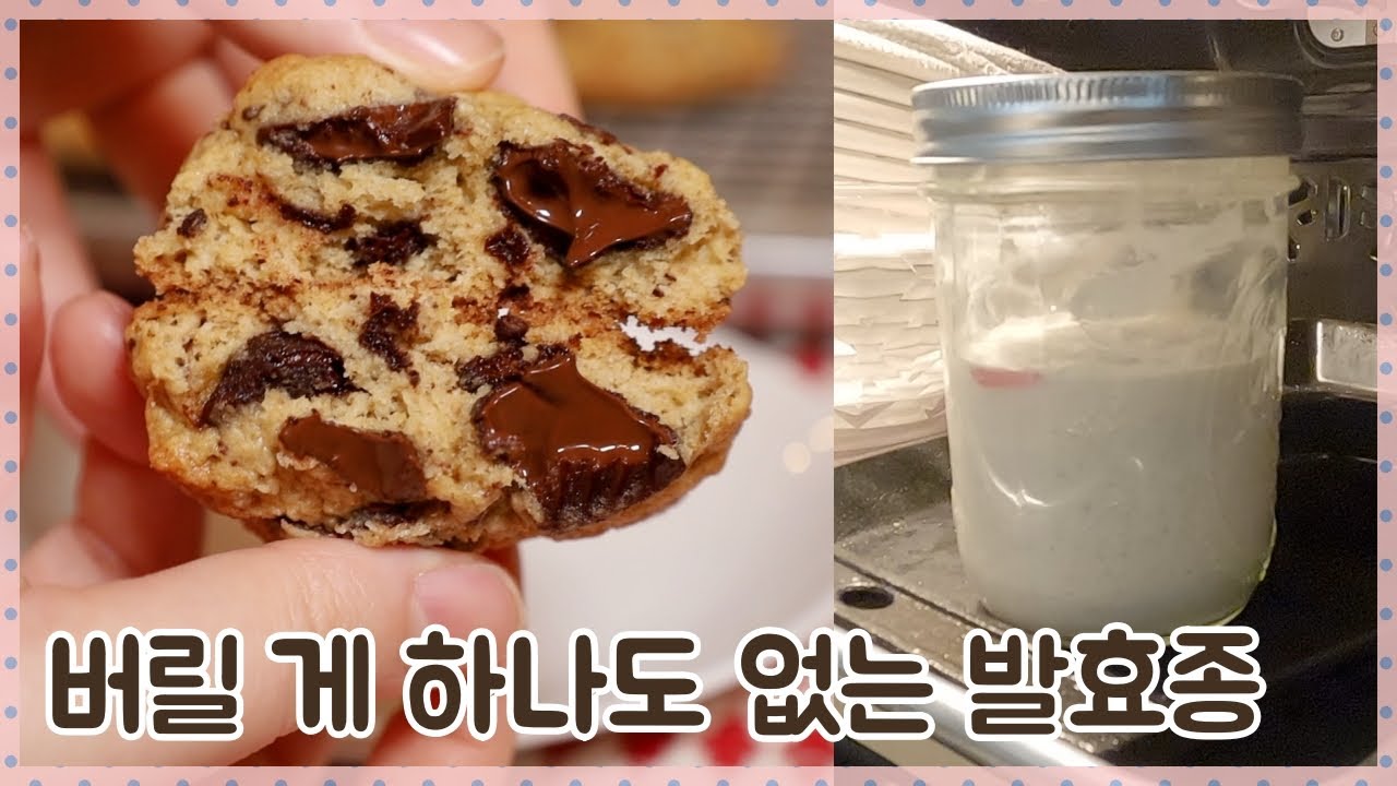 버리는 발효종도 다시 보게 만드는 초콜릿 칩 쿠키 - 일부로 발효종 버리고 싶어 져도 책임지지 않습니다!😊 | 플비 Flavia's Pod