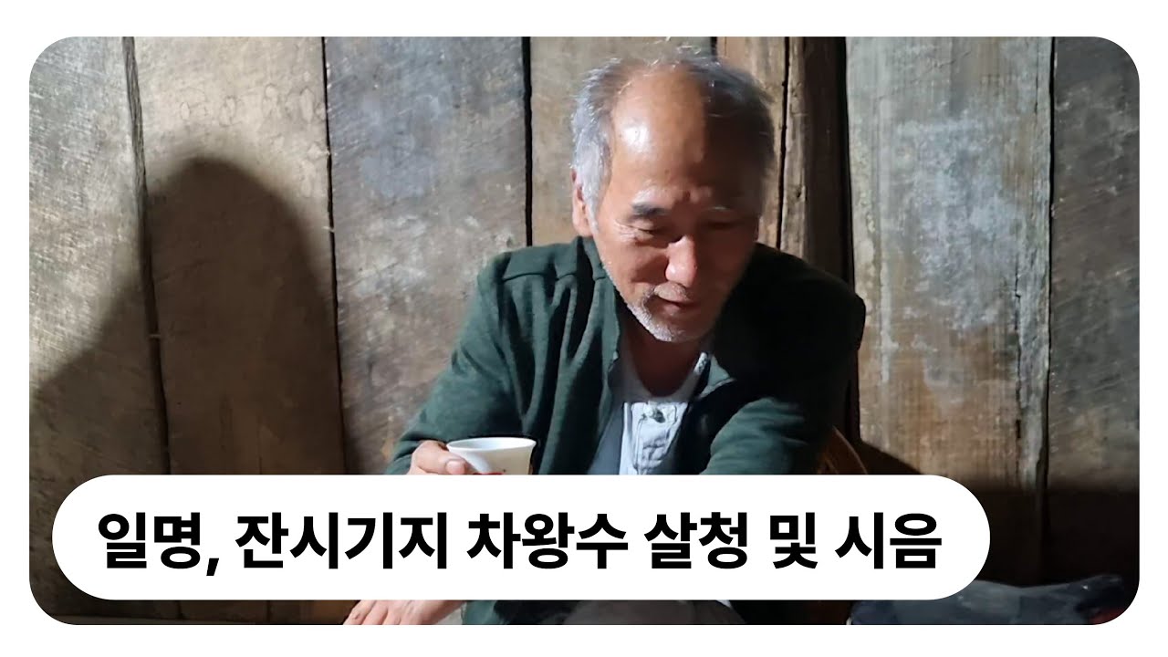 지난 영상에서 채엽했던 잔시기지 차왕수 살청 및 시음