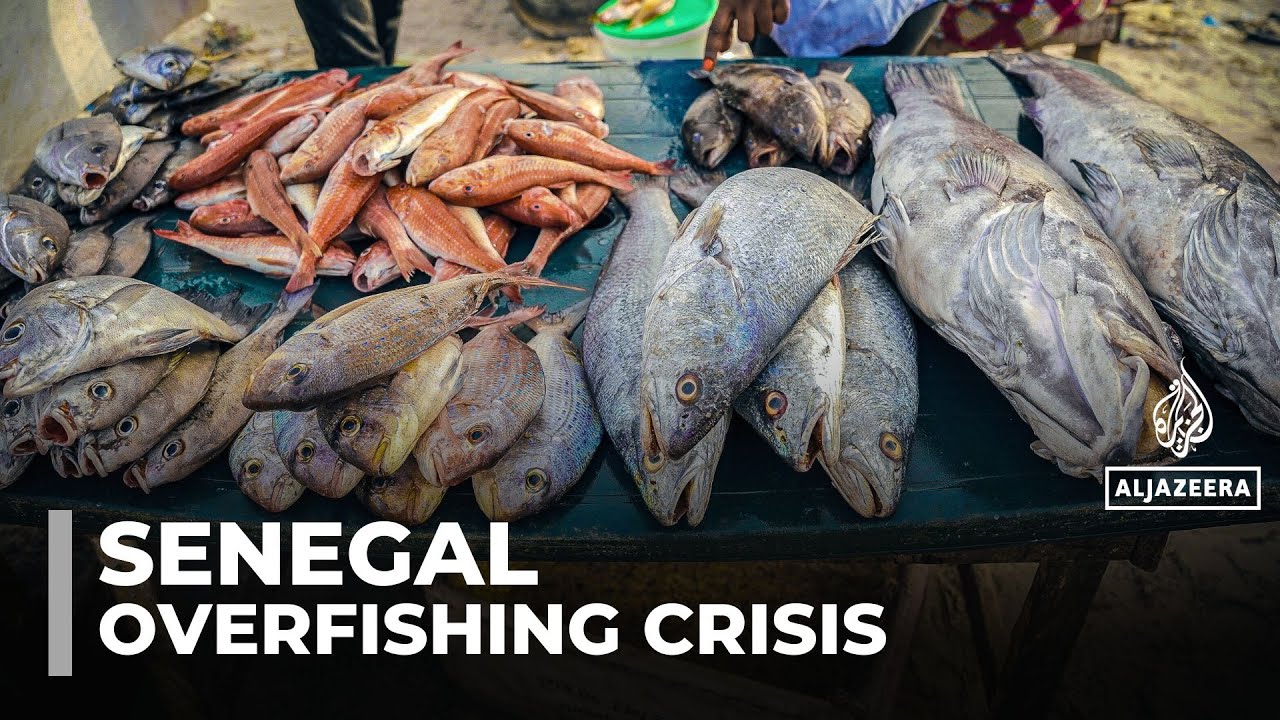 Спрос на морепродукты в Европе истощает рыбные запасы Сенегала, оставляя прибрежные общины голодать