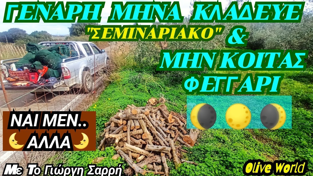ΚΛΑΔΕΜΑ  ΕΛΙΑΣ 🫒 - ΠΟΤΕ ΚΛΑΔΕΥΟΥΜΕ? - ΓΕΝΑΡΗΣ & ΚΛΑΔΕΜΑΤΑ - ΝΑΙ ΜΕΝ.. ΑΛΛΑ 🤔