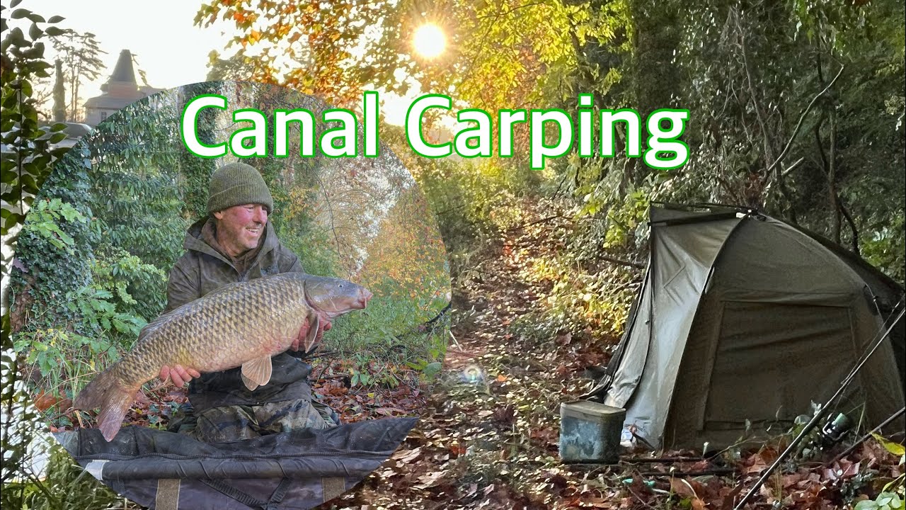 Solitude & Wild Carp 🎣