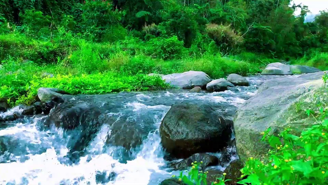Mountain River for Mental Clarity, Zen, Peace of Mind