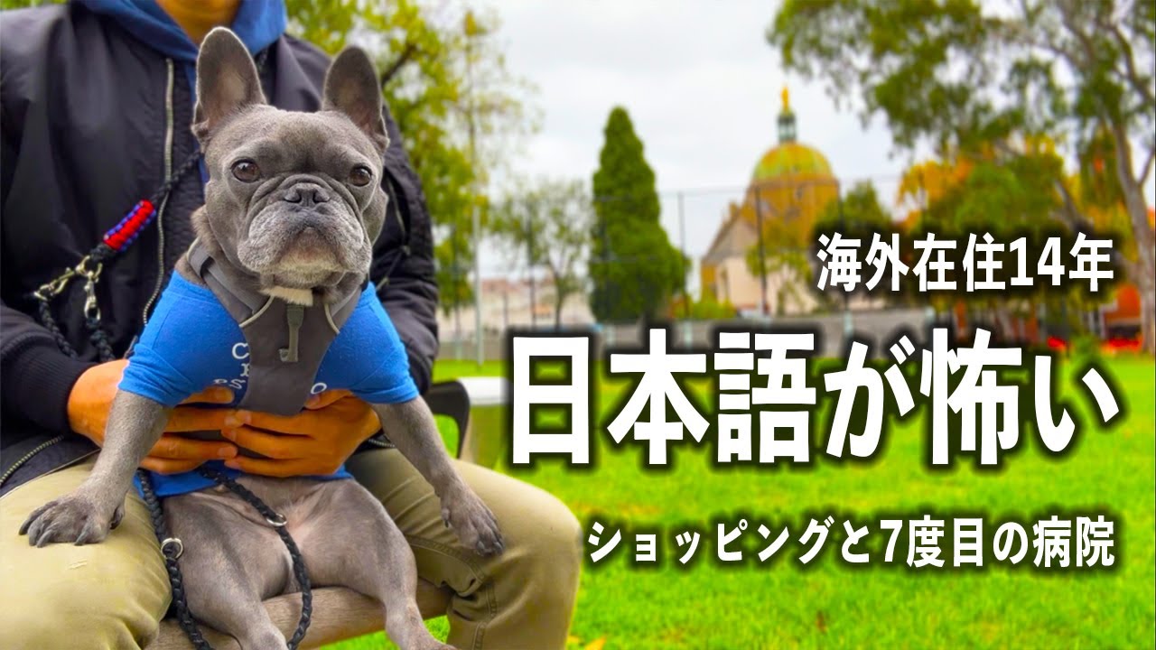 海外生活あるある？日本語に怯えながら愛犬と豪州に永住する男【7度目の病院とコストコ】