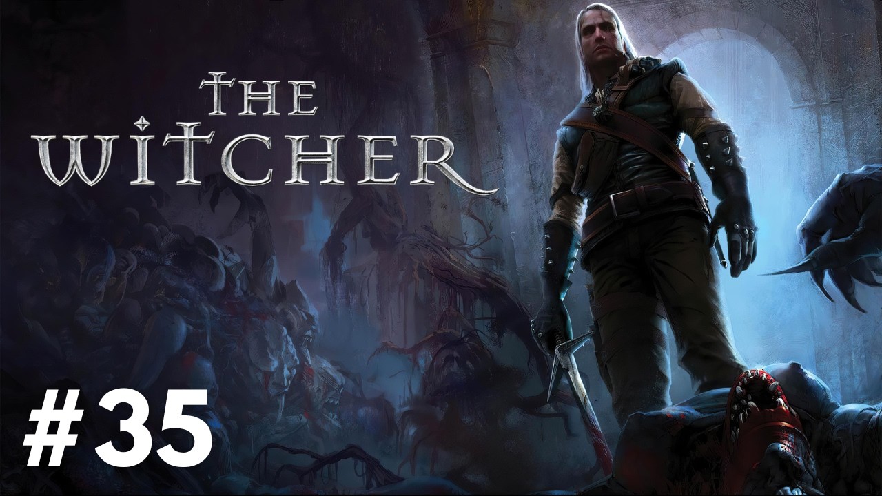 Lets's play The Witcher Enhanced Edition #35