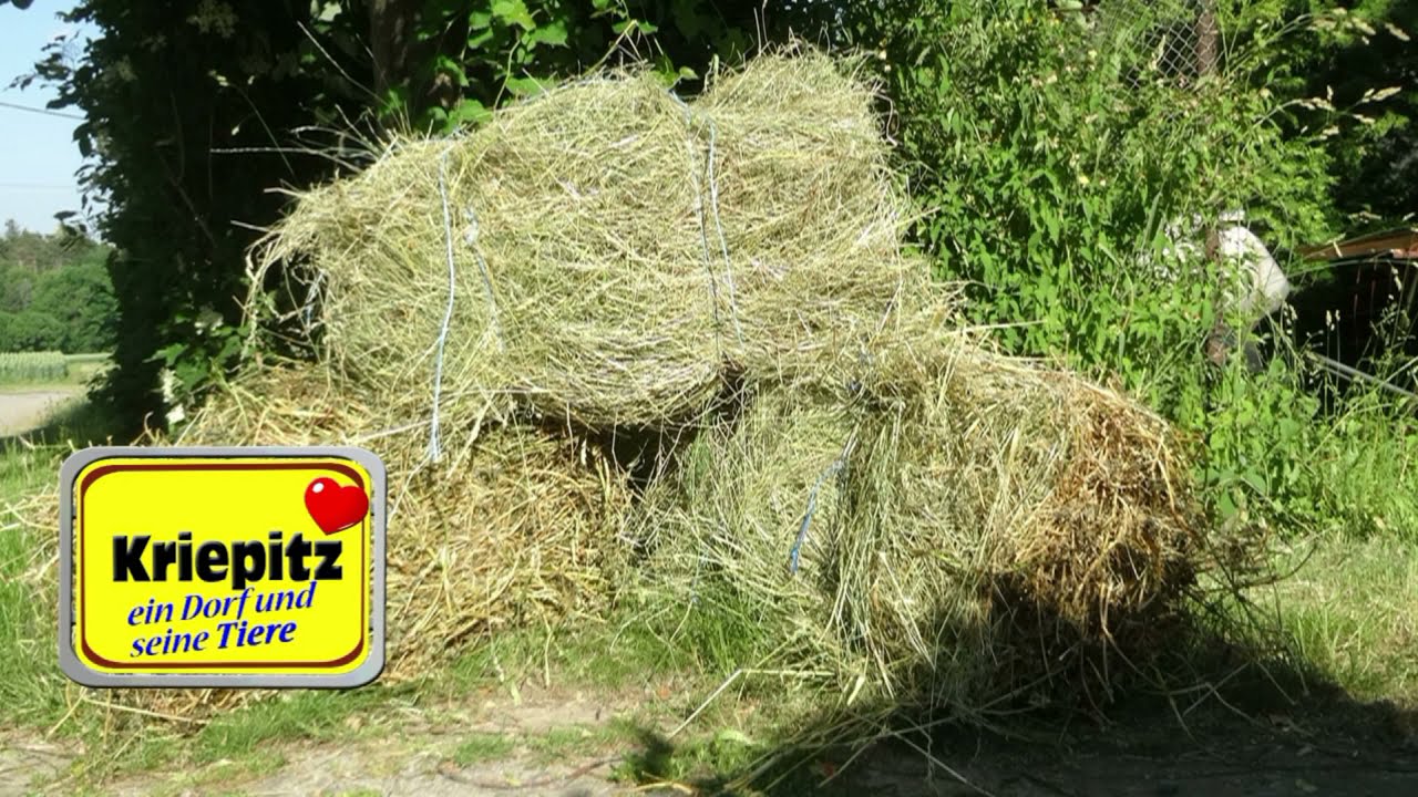 Heuballen, Heu selber mit Hand pressen, Heuernte Ballen selbst herstellen