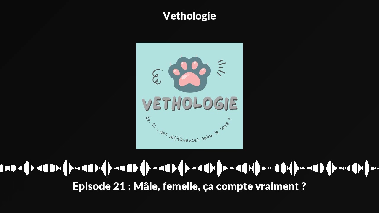 Episode 21 : Mâle, femelle, ça compte vraiment ?
