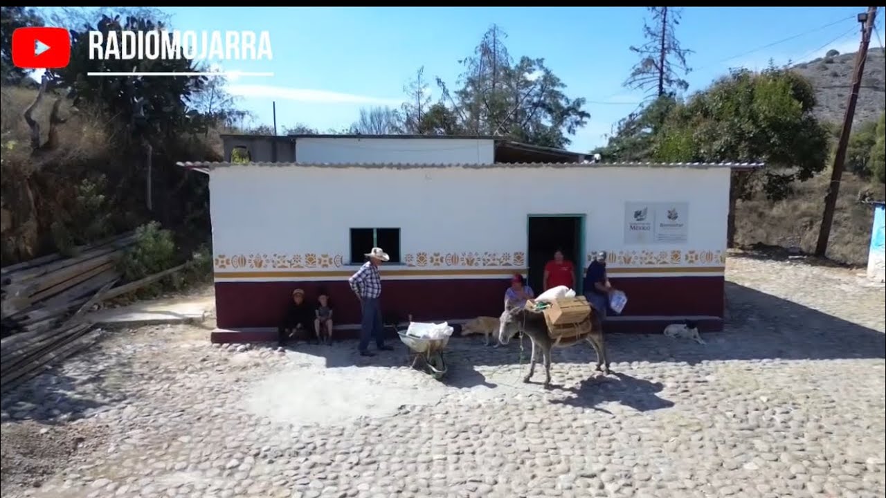 Flor carga lo que puede tordillo de mandado ! 