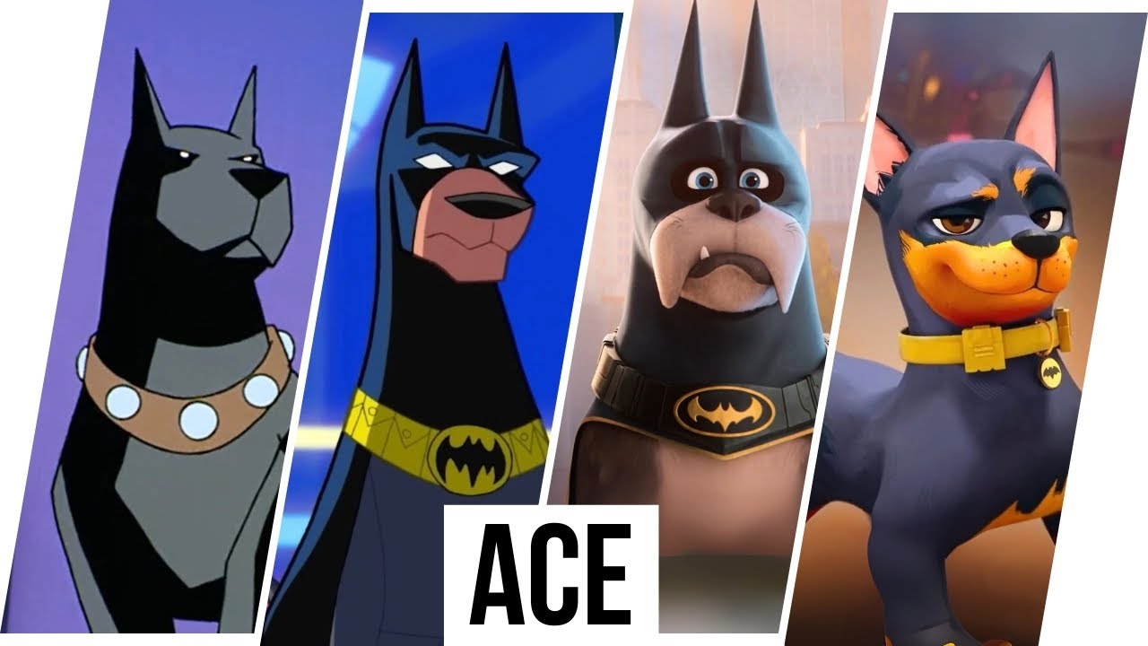  Ace the Bat-Hound Evolution / Batman's dog