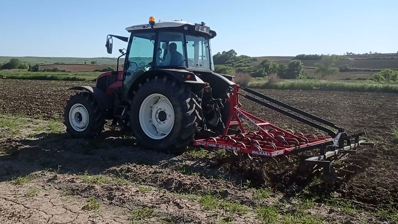 2021 Yılı Ayçiçeği yerine aysan çekimi.