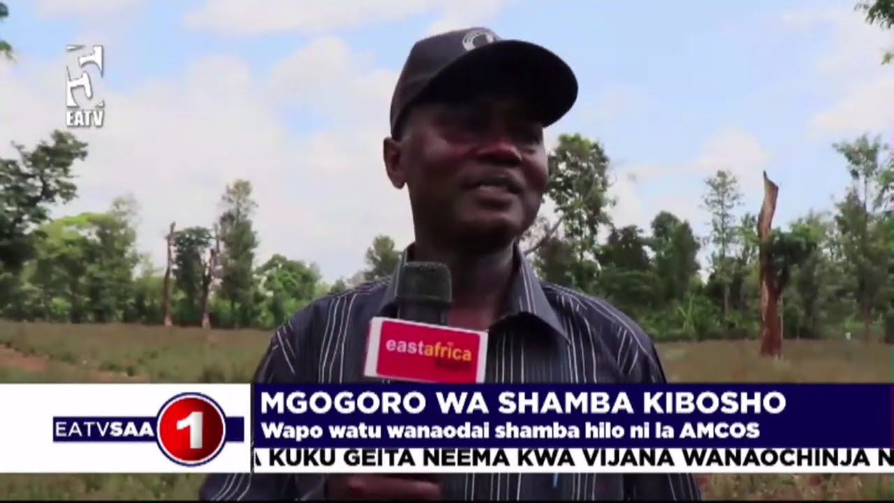 MGOGORO WA SHAMBA KIBOSHO