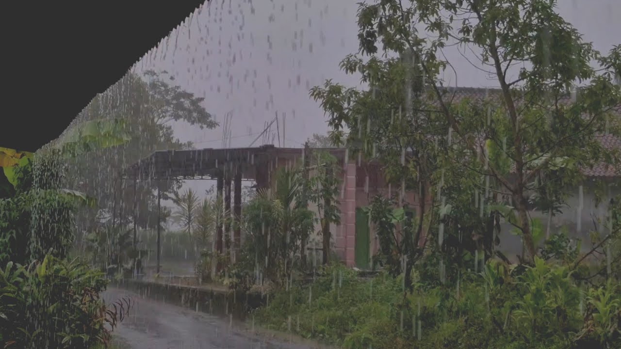 Relieve insomnia and tinnitus symptoms, try the sound of rain, guaranteed instant healing, ASMR