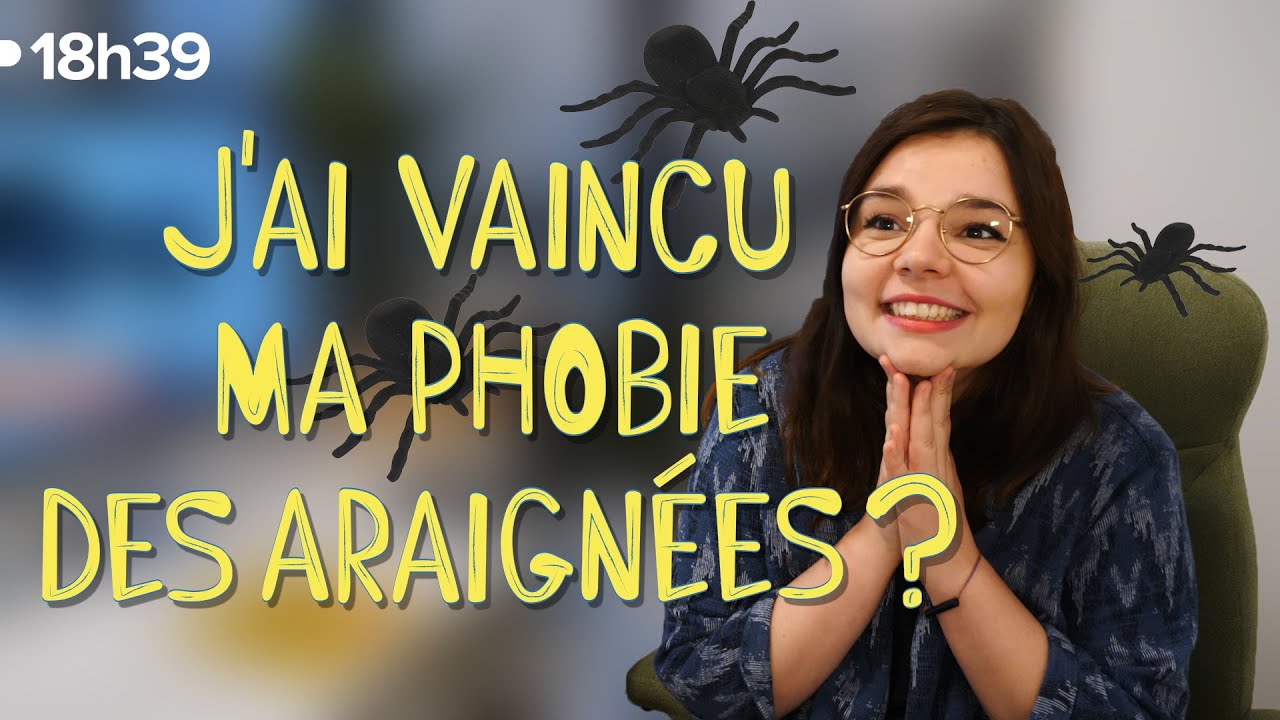 Comment j'ai vaincu ma phobie des araignées