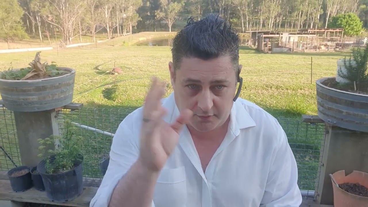 Website & Facebook Promotion, 10 Packages Remain, November 2025