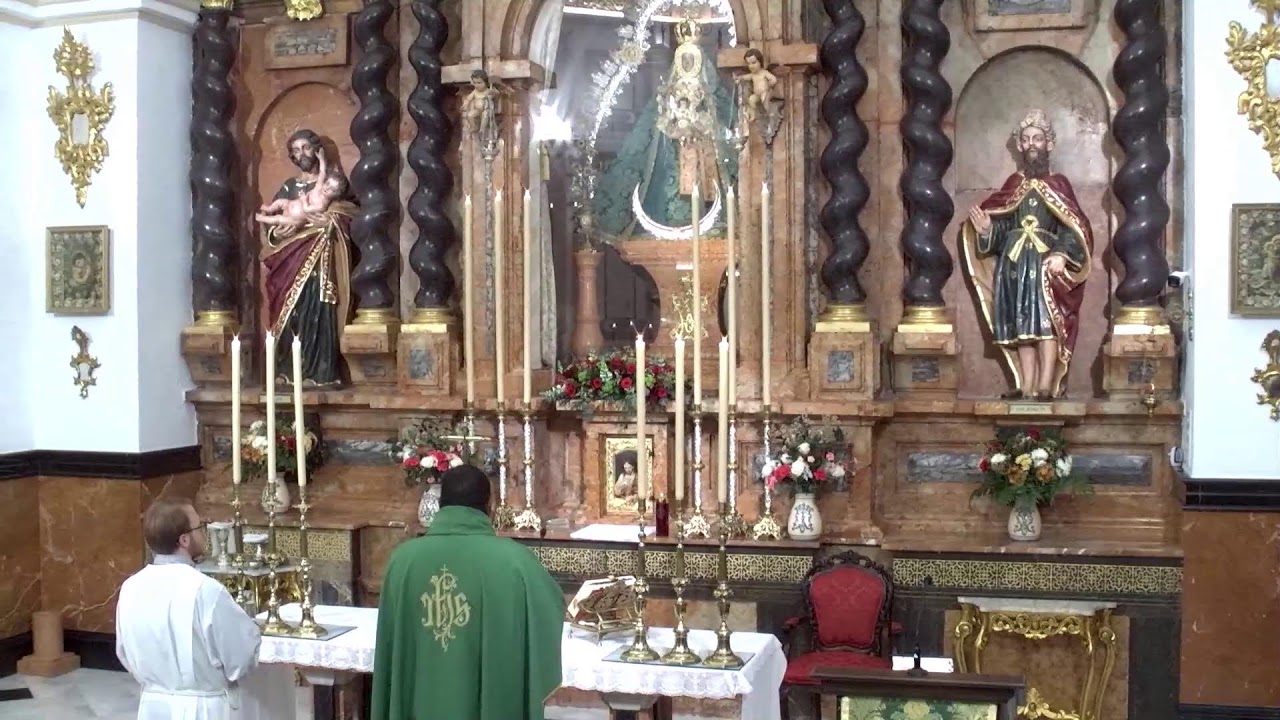 Emisión en directo - Santa Misa III Domingo del Tiempo Ordinario