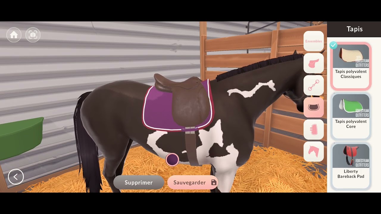 Présentation de mes chevaux sur ETG